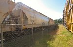 OCCX 52115